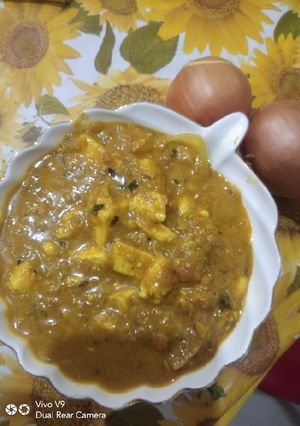 A picture of Dhaba style paneer do pyaza.
