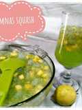 Es timnas squash