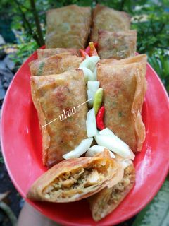 Foto resep Martabak ayam kulit lumpia