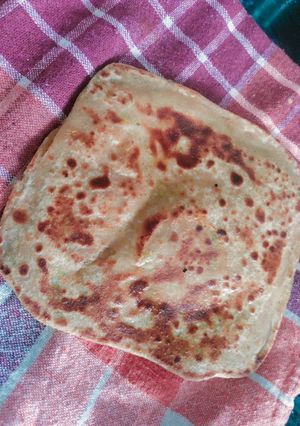 A picture of Ginger garlic parantha.
