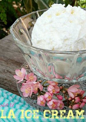 Foto resep Vanilla Ice Cream