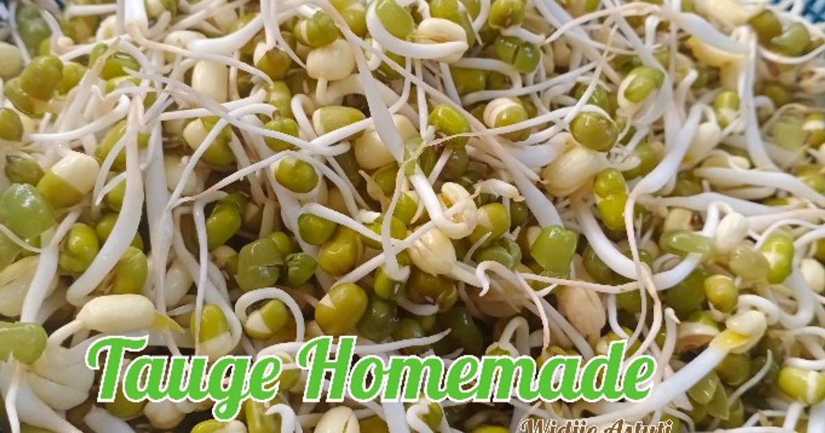 Resep Taugekecambah Kacang Hijau Homemade Step By Stepnya Oleh Widjie Astuti Cookpad 4579