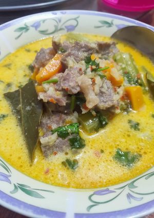 Gambar Stew Daging Simple