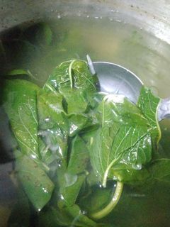 Foto resep Kuah Bening Sayur Bayam