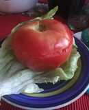 Tomate relleno