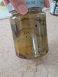 Berenjenas en escabeche