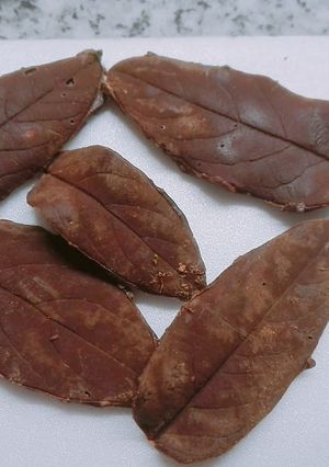 Una foto de Hojas de chocolate otoñales