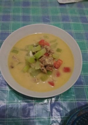 Foto resep Lodeh labusiam dan tempe simple