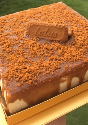 Foto resep Lotus Biscoff Cheesecake