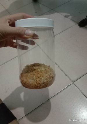 Hình của món Chà bông gà.