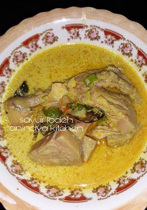 Foto resep Sayur lodeh spesial anti ribet