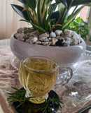 دمنوش ترخون🌿🌿