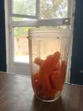Agua de papaya