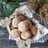 Donut Balls Tanpa Ulen (Soft Dough)