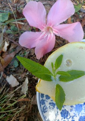 Une photo de 🍋 Créme au citron