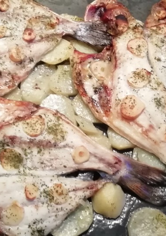 Una foto de Dorada a la Espalda