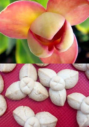 Foto di 61 • Klip Lamduan, biscotti tailandesi a fiore 🇹🇭