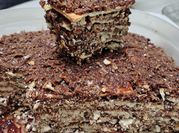 Una foto de turrón de quaker sin tacc