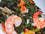 Cah kangkung udang saos tiram