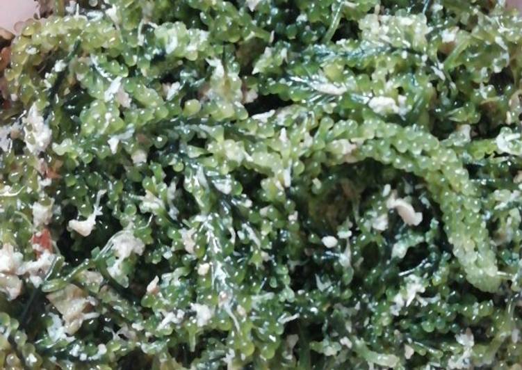 Urap Latoh (tumbuhan laut)