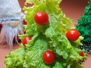 A picture of christmas starter