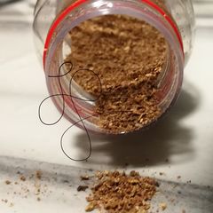 A picture of Sichuan Peppercorn Salt.