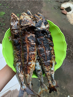 Foto resep Ikan asap / ikan bakar