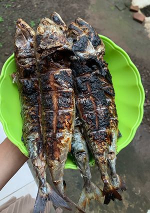Foto resep Ikan asap / ikan bakar