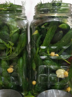 عکسی از دستور خیارشور ترد و خوشمزه با ترخون و شوید