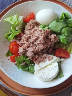 Foto de Wrap de Queijo Fresco e Atum