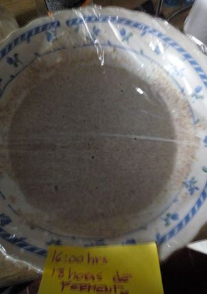 Una foto de Fermento para ciabatta