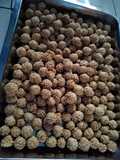 Keciput  wijen (onde onde ceplis)