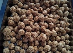 Foto resep Keciput  wijen (onde onde ceplis)
