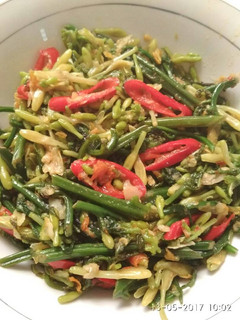 Foto resep Tumis sayur pakis + bunga pepaya pedas