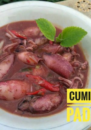 Foto resep Cumi Saos Padang