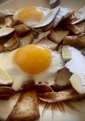 Une photo de Déclinaison de cèpes à l’œuf