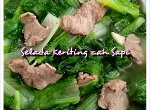 Foto resep Selada Keriting Cah Sapi
