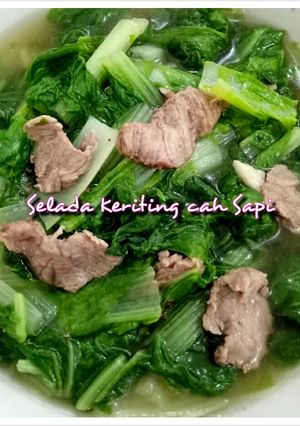 Foto resep Selada Keriting Cah Sapi