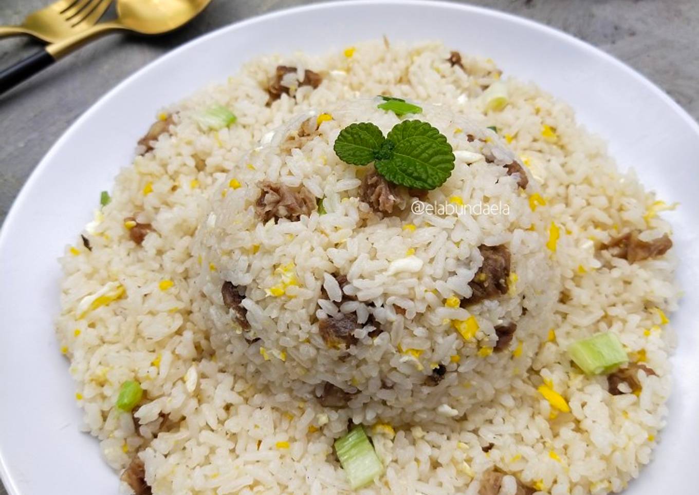 Yakimeshi (Nasi Goreng Jepang)