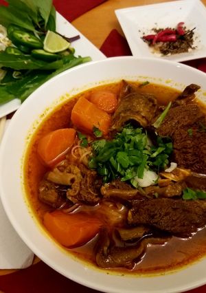 A picture of Vietnamese Beef Stew.