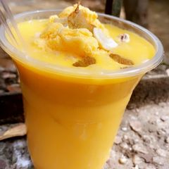 A picture of Custard.