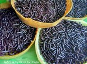 Gambar terang bulan mini