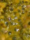 Mousse de maracujá com suco em pó. Uma delícia