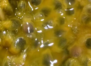 Foto de Mousse de maracujá com suco em pó. Uma delícia