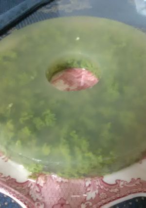 Foto resep Puding lumut