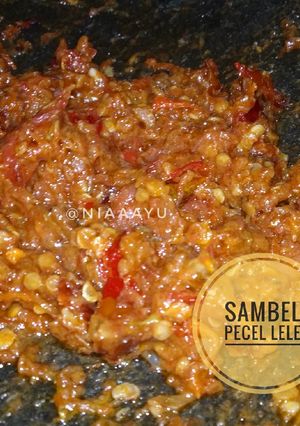 Foto resep #17 Sambel Pecel Lele