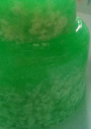 Foto resep Puding lumut pasta pandan