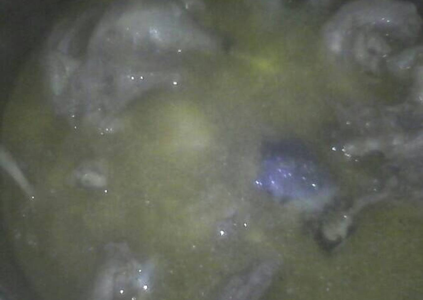 Bebek Bumbu Cemplung