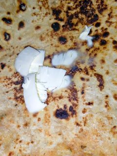 आलू पराठा (Aloo Paratha recipe in Hindi) रेसिपी मुख्य फोटो