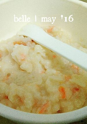 Foto resep Salmon and Cheese Porridge (Bubur Salmon dan Keju) mpasi +8m